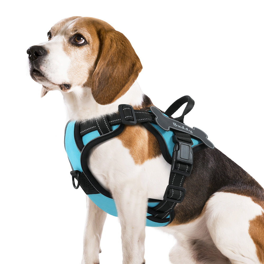 Personalized Dog Harness NO PULL Breathable Pet Harness Vest with Lovely Custom Patch Harness for Small Medium Large Dogs