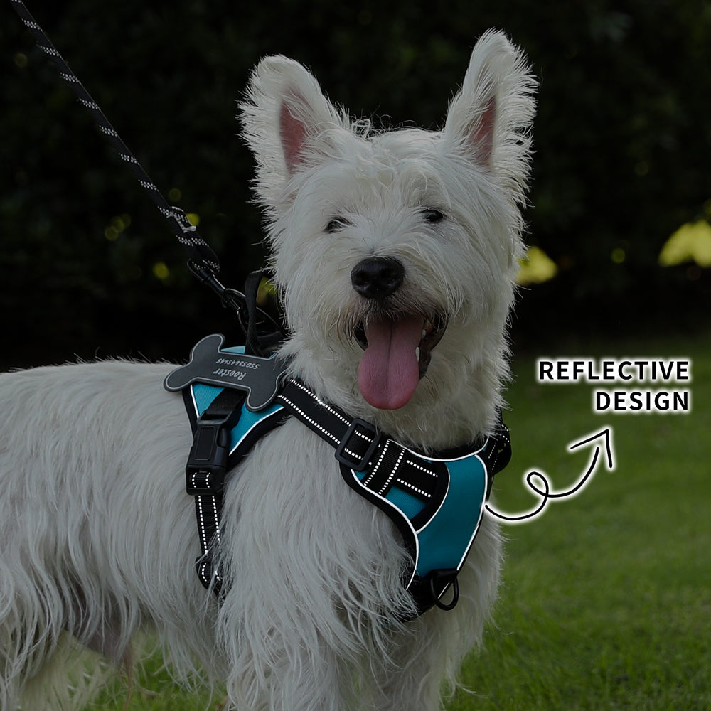 Personalized Dog Harness NO PULL Breathable Pet Harness Vest with Lovely Custom Patch Harness for Small Medium Large Dogs