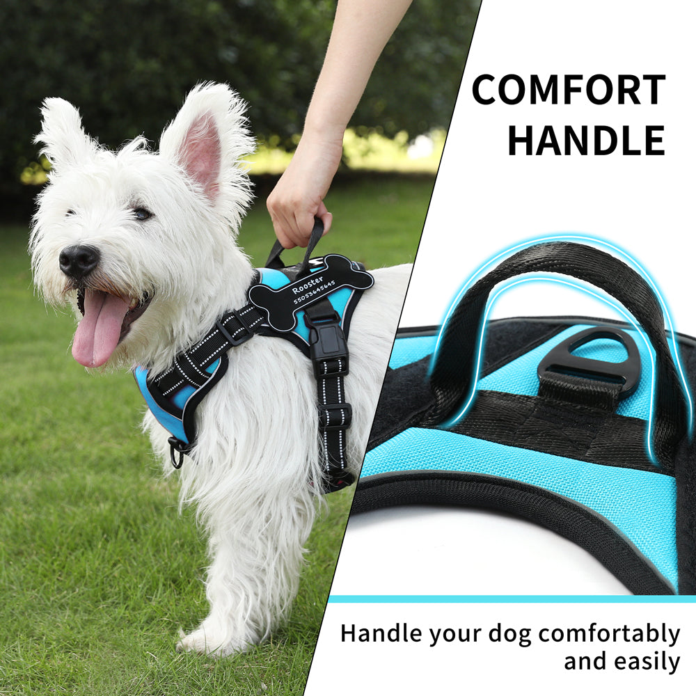Personalized Dog Harness NO PULL Breathable Pet Harness Vest with Lovely Custom Patch Harness for Small Medium Large Dogs